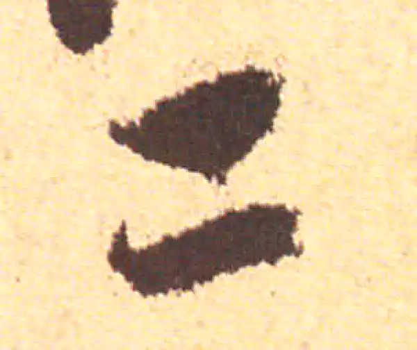 赵孟頫·行书·二