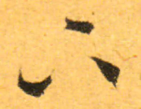 文徵明·行书·下