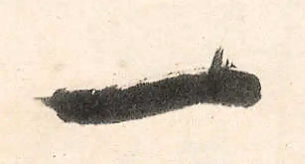 王守仁·行书·一