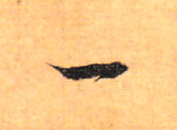 董其昌·行书·一