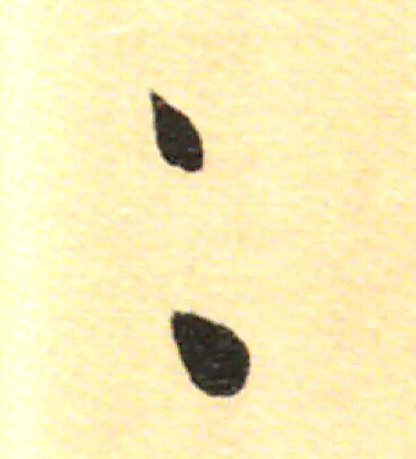 董其昌·行书·二