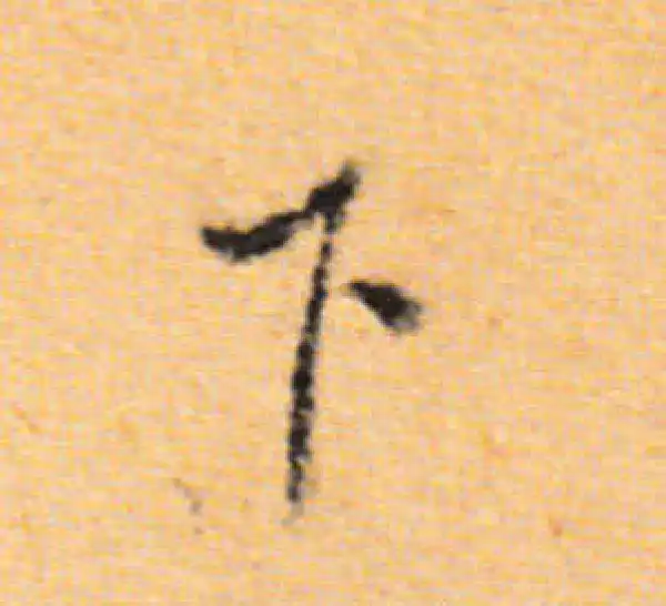 董其昌·行书·下