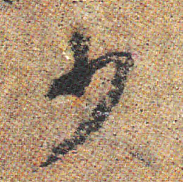 杨凝式·行书·少