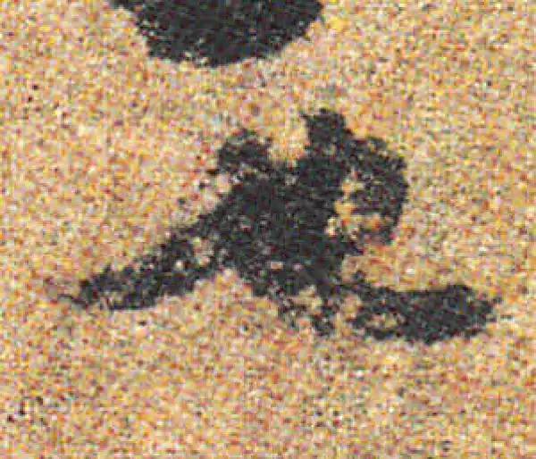 杨凝式·行书·也