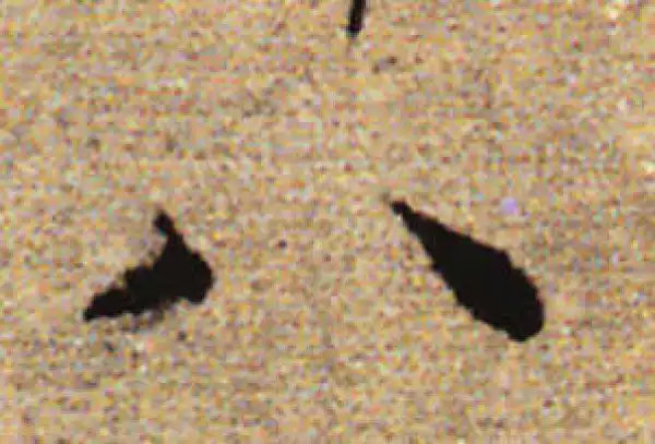 赵孟頫·行书·八