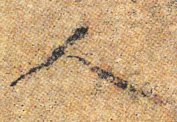 杨凝式·行书·人