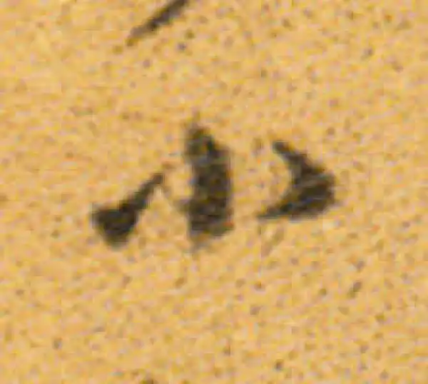 董其昌·行书·小