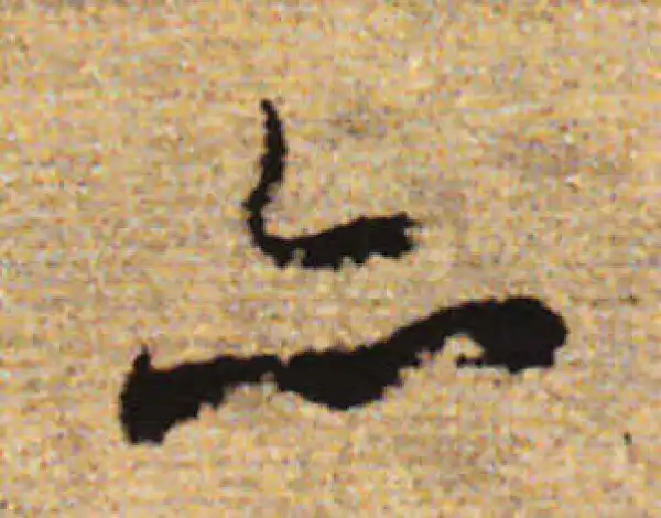 赵孟頫·行书·亦