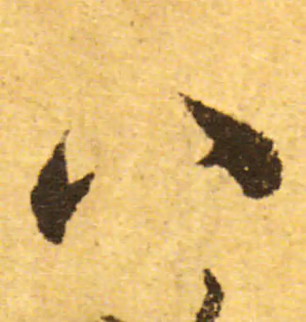 欧阳询·行书·八