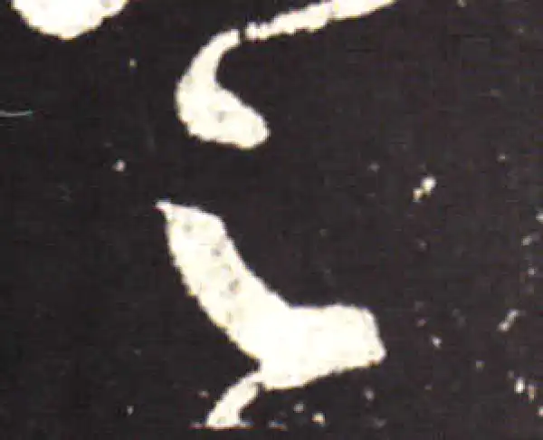 王献之·行书·足