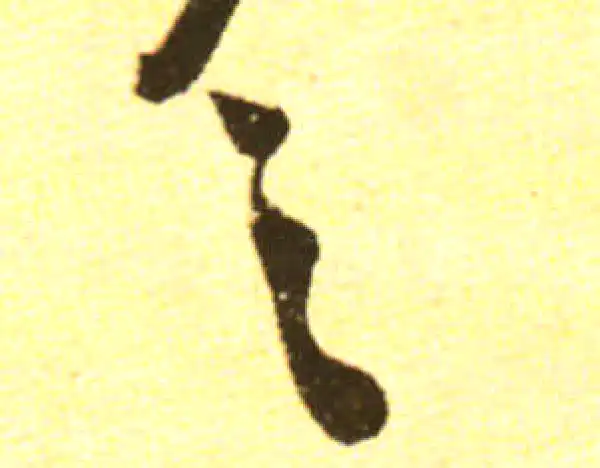 黄庭坚·行书·之