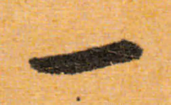 文徵明·行书·一