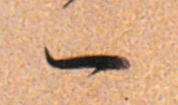 董其昌·行书·一