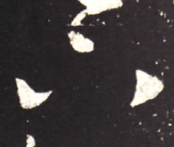 王献之·行书·下