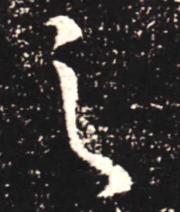 王献之·行书·之