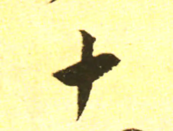 黄庭坚·行书·十