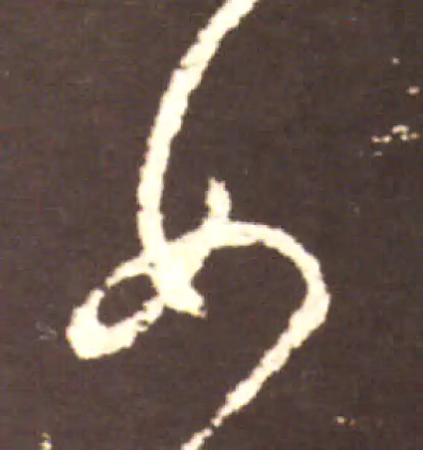 王献之·行书·女