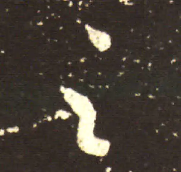 王献之·行书·之