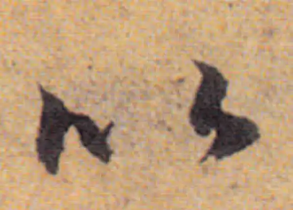 赵孟頫·行书·以