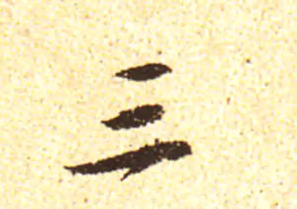 黄庭坚·行书·三