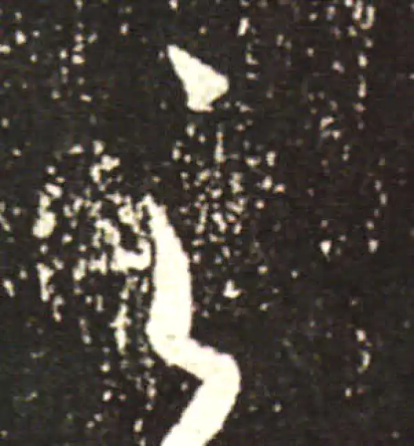 王献之·行书·之