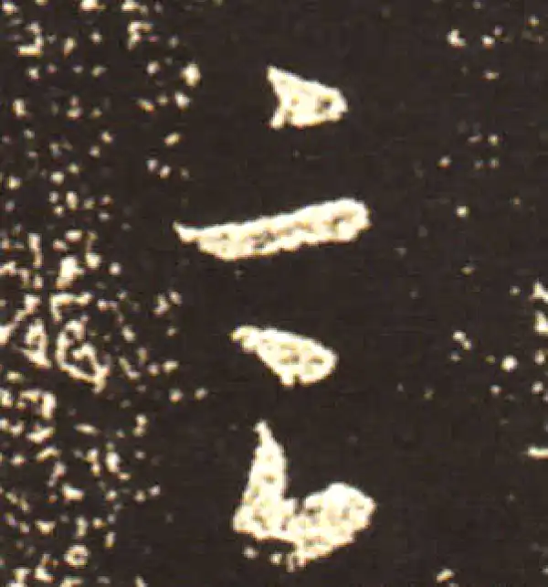 王献之·行书·言