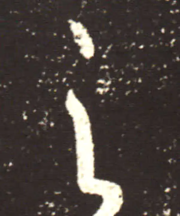 王献之·行书·之