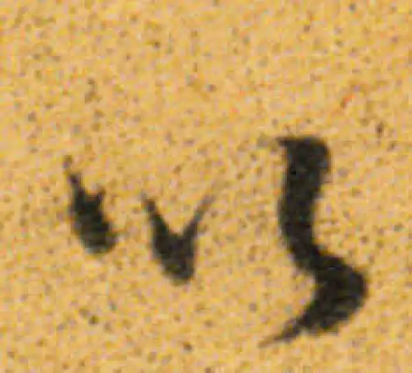 董其昌·行书·以