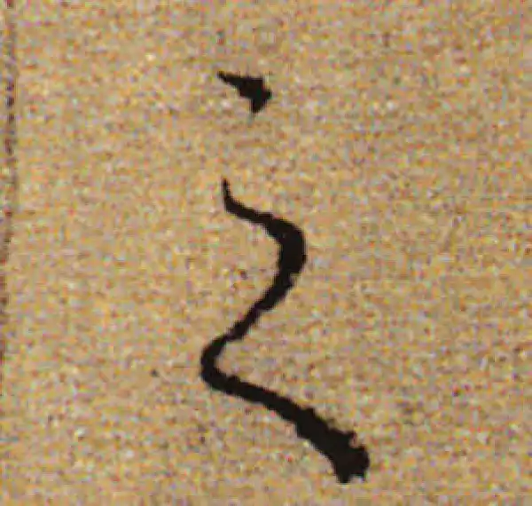 赵孟頫·行书·之