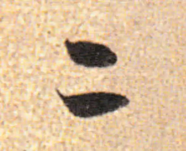 董其昌·行书·二