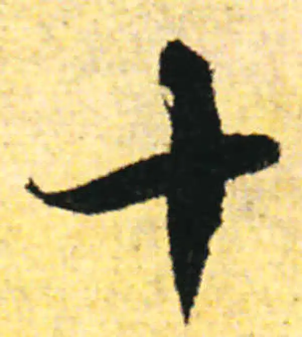 张即之·行书·十