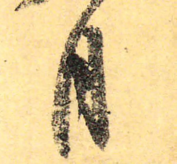 颜真卿·行书·月