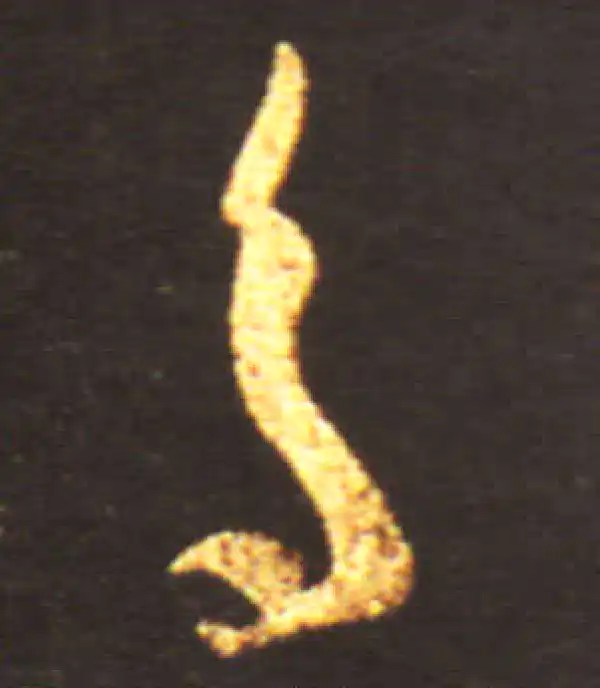 王献之·行书·多