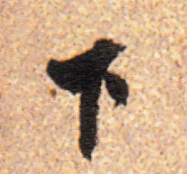 董其昌·行书·下