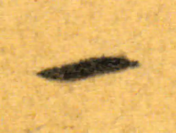 文徵明·行书·一