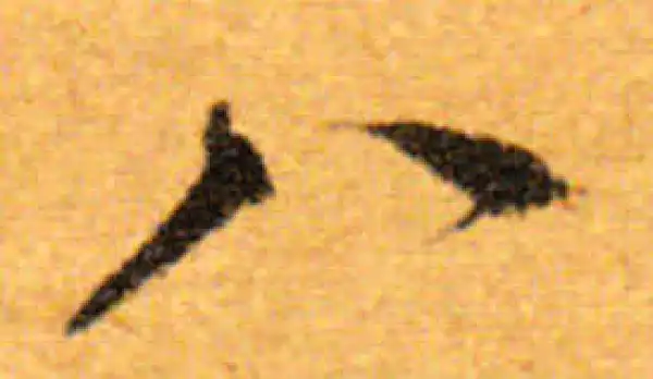 文徵明·行书·八