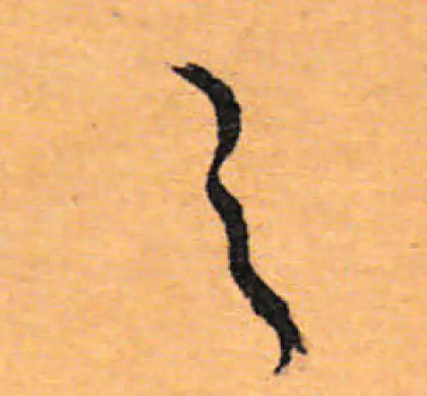 文徵明·行书·之