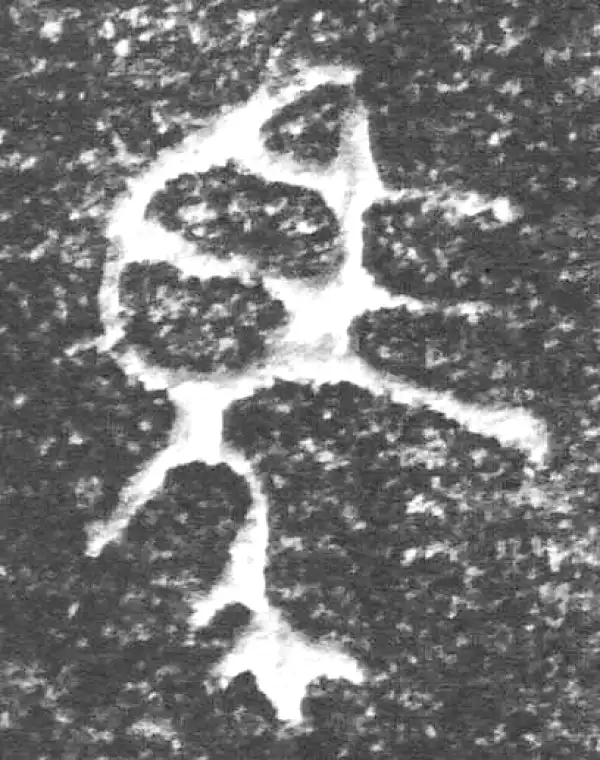 金文·四十三年逨鼎·馬