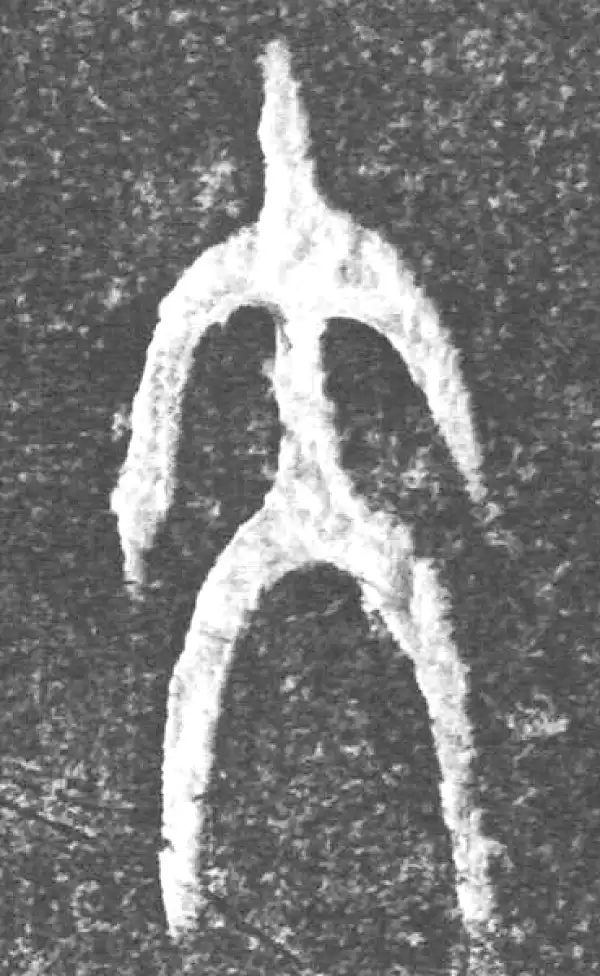 金文·(害夫)簋·大