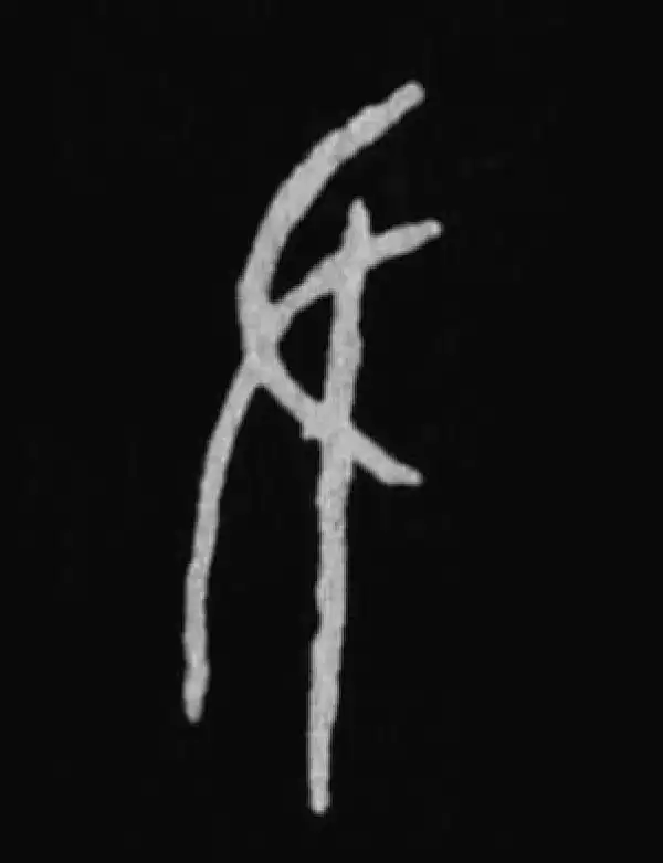 殷墟甲骨文·尹