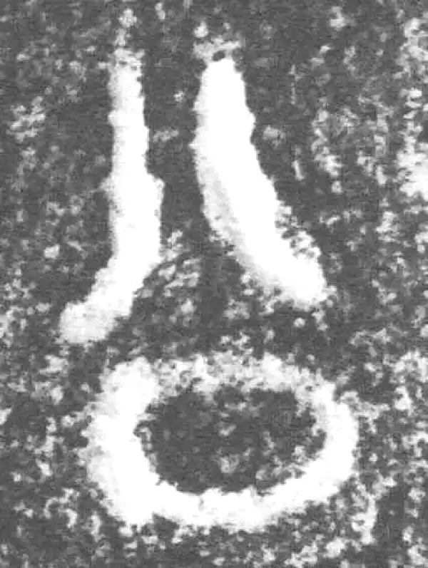 金文·公臣簋·公