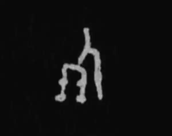 殷墟甲骨文·朋