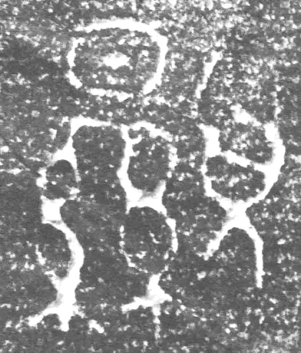 金文·四十三年逨鼎·显