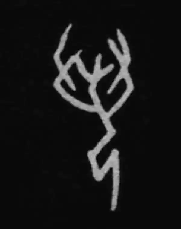 殷墟甲骨文·若