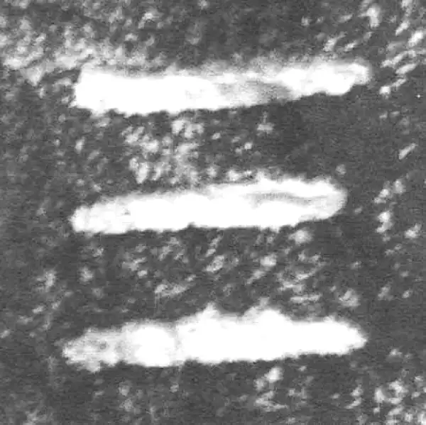 金文·裘卫盉·三