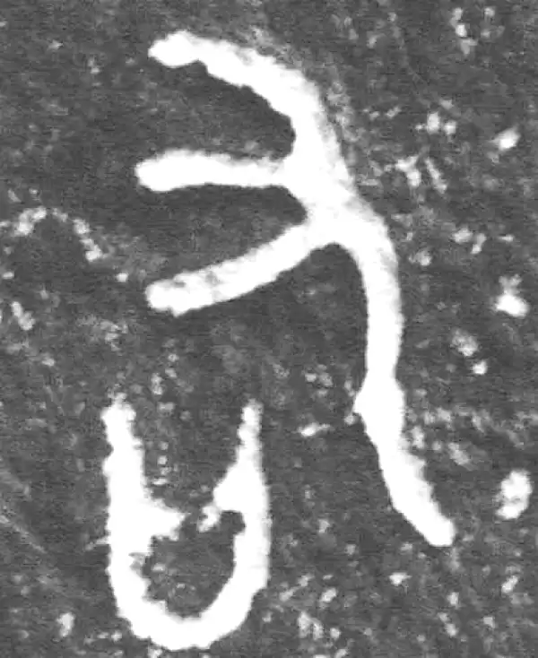 金文·裘卫簋·右