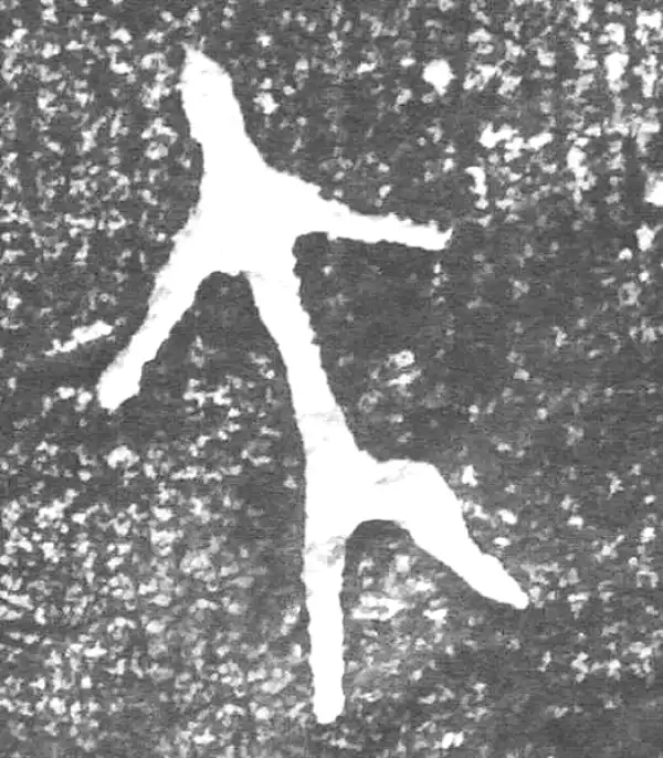 金文·四十二年逑鼎乙·大