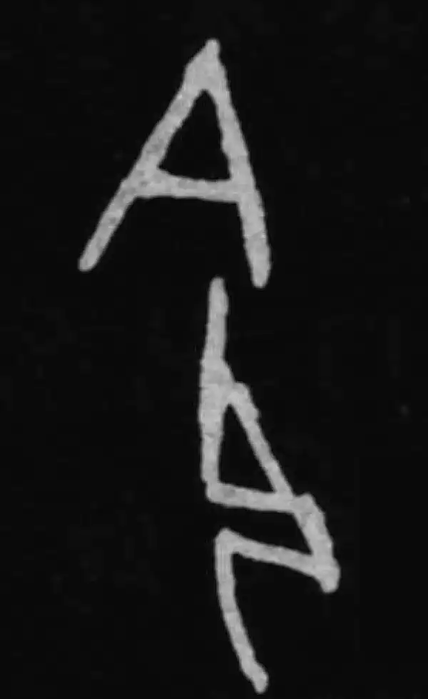 殷墟甲骨文·命