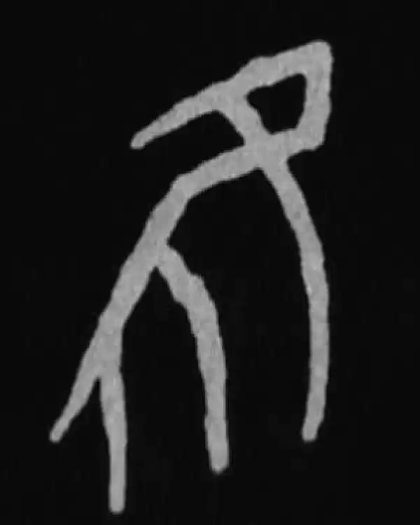 殷墟甲骨文·隹