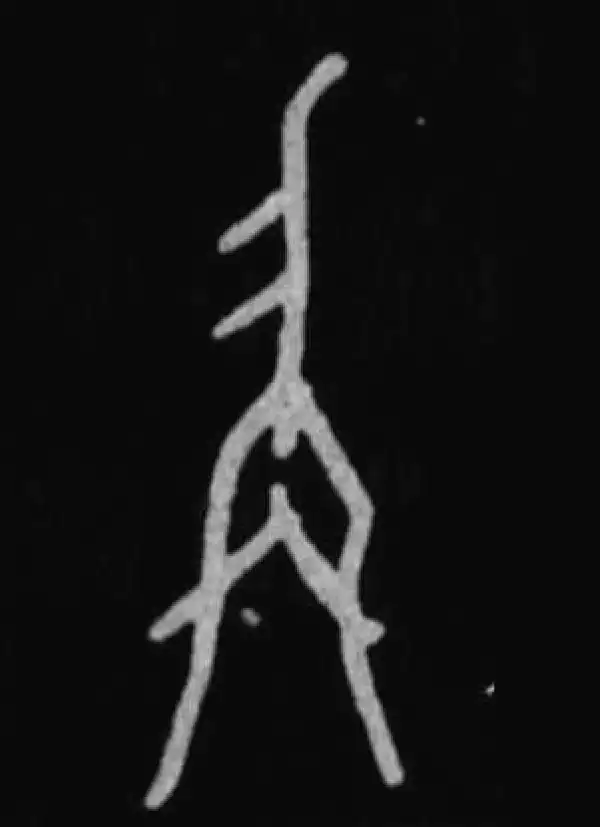 殷墟甲骨文·称